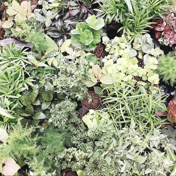 Meet your Posher, Yunesta - Picture 1 of 1